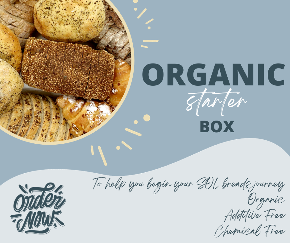 Organic Starter Box - Wild Breads